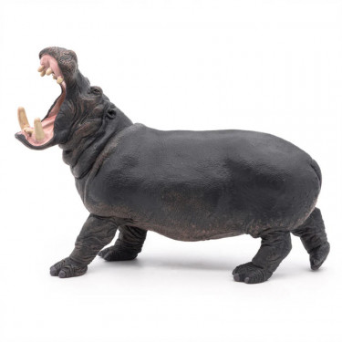 Hippopotame PAPO 50051