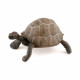 Tortue, figurine PAPO 50013