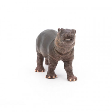 Bébé Hippopotame PAPO 50052