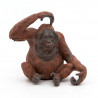 Orang-Outan PAPO 50120