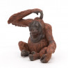 Orang-Outan PAPO 50120