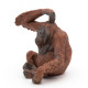 Orang-Outan PAPO 50120