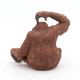 Orang-Outan PAPO 50120
