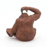 Orang-Outan PAPO 50120