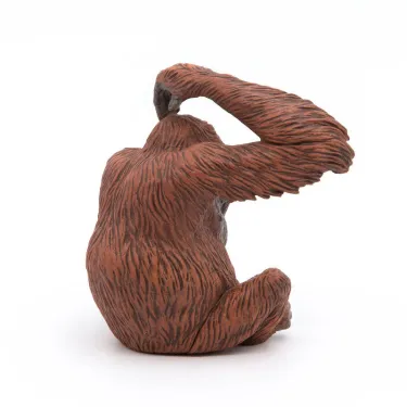 Orang-Outan PAPO 50120