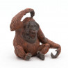 Orang-Outan PAPO 50120