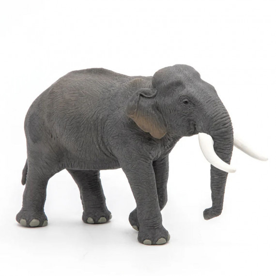 Eléphant d'Asie PAPO 50131