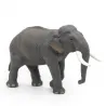 Eléphant d'Asie PAPO 50131