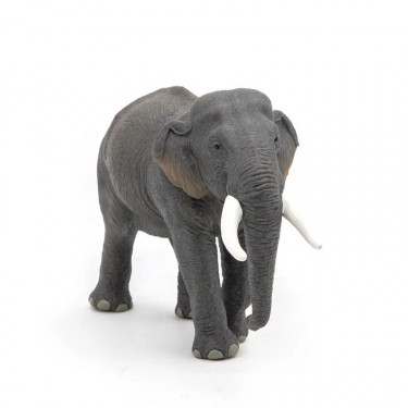 Eléphant d'Asie PAPO 50131
