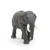 Eléphant d'Asie PAPO 50131
