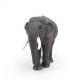 Eléphant d'Asie PAPO 50131