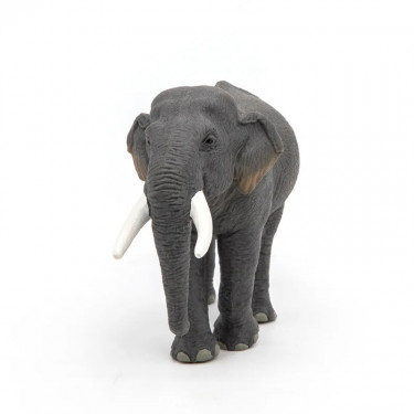Eléphant d'Asie PAPO 50131