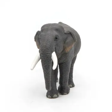 Eléphant d'Asie PAPO 50131