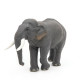 Eléphant d'Asie PAPO 50131