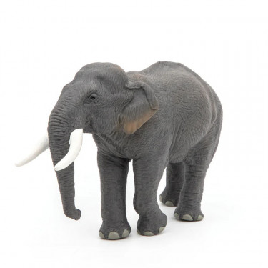 Eléphant d'Asie PAPO 50131