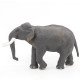 Eléphant d'Asie PAPO 50131
