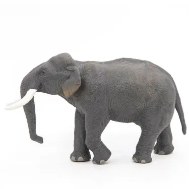Eléphant d'Asie PAPO 50131