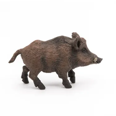 Sanglier PAPO 53011