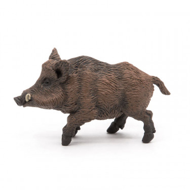 Sanglier PAPO 53011