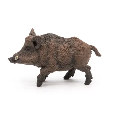 Sanglier PAPO 53011