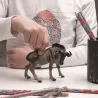 Gnou PAPO 50101