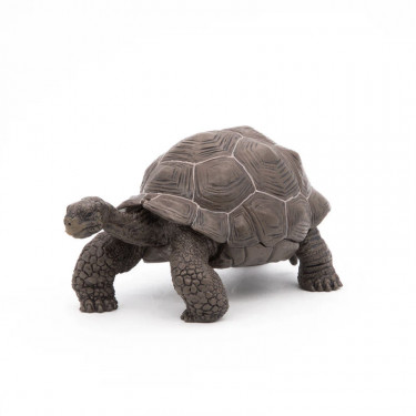 Tortue des Galapagos PAPO 50161