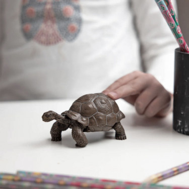 Tortue des Galapagos PAPO 50161