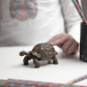 Tortue des Galapagos PAPO 50161