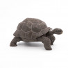 Tortue des Galapagos PAPO 50161