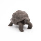 Tortue des Galapagos PAPO 50161