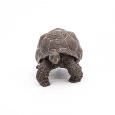Tortue des Galapagos PAPO 50161