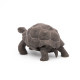 Tortue des Galapagos PAPO 50161