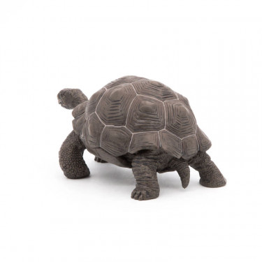 Tortue des Galapagos PAPO 50161