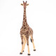 Girafe mâle PAPO 50149
