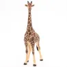 Girafe mâle PAPO 50149