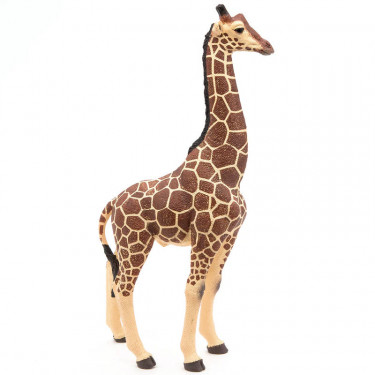 Girafe mâle PAPO 50149