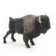 Bison d'Amérique PAPO 50119