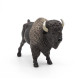 Bison d'Amérique PAPO 50119