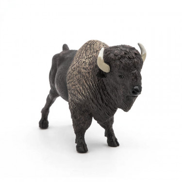 Bison d'Amérique PAPO 50119