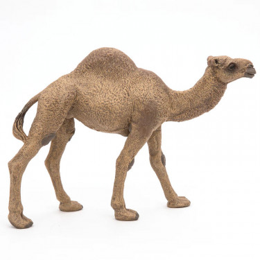Dromadaire PAPO 50151