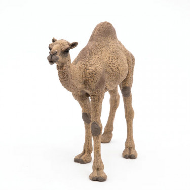 Dromadaire PAPO 50151