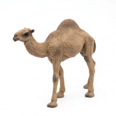 Dromadaire PAPO 50151