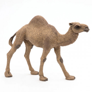 Dromadaire PAPO 50151