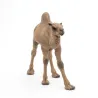 Dromadaire PAPO 50151