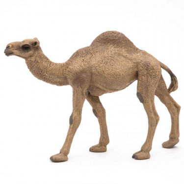 Dromadaire PAPO 50151