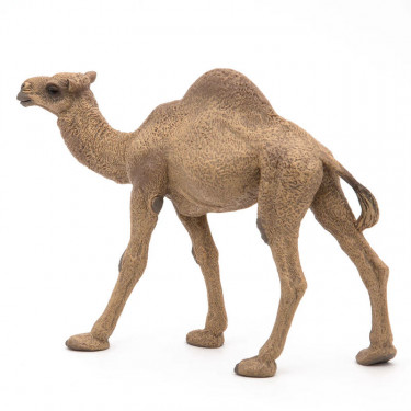 Dromadaire PAPO 50151