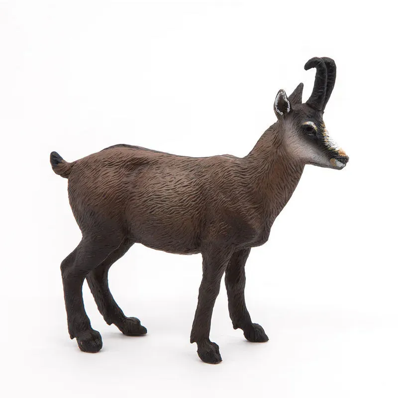 Chamois PAPO 53017