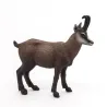 Chamois PAPO 53017