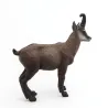 Chamois PAPO 53017