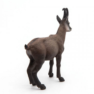 Chamois PAPO 53017